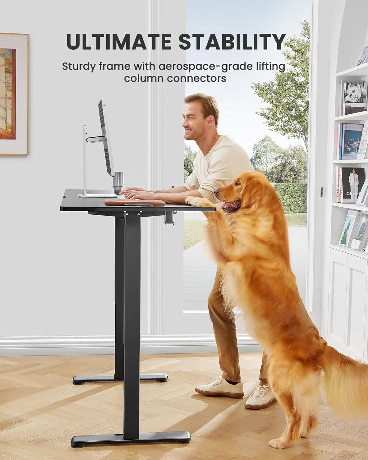 Height Adjustable Electric Standing Desk, 48 X 24 Inches Sit Stand up Desk, Memory Computer Home Office Desk (Black) - Tenini Strive Electronic Shop